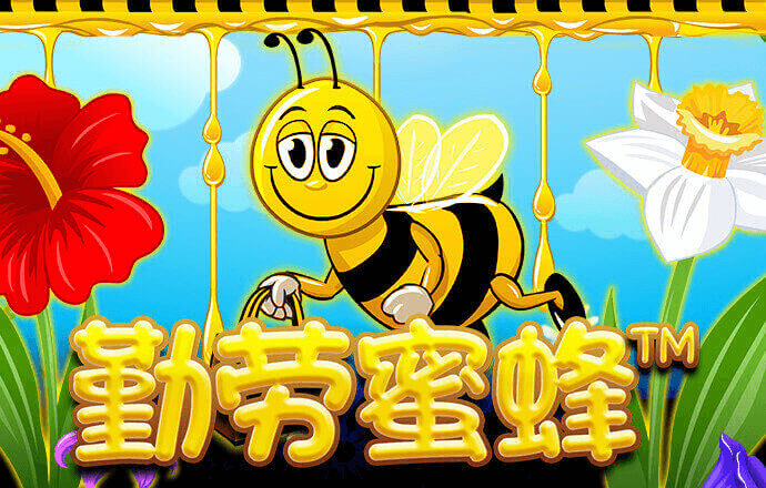 新澳门游戏网站入口app